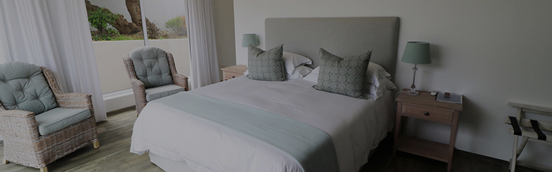 Oceans Villa Pool Suite